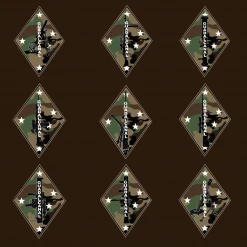 Phaseline Co Apparel 1st Div M81