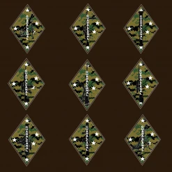 Phaseline Co 1st Div Woodland